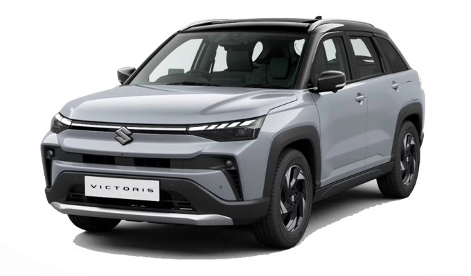 Splendid Silver With Bluish Black Roof